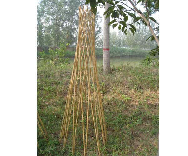 去皮柳树支架