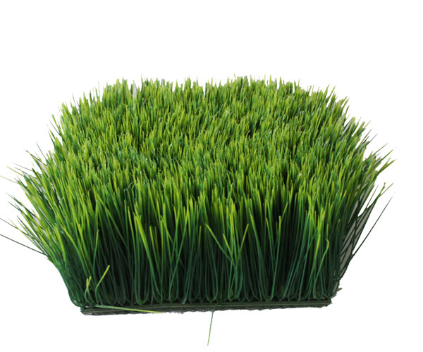 artificial turf