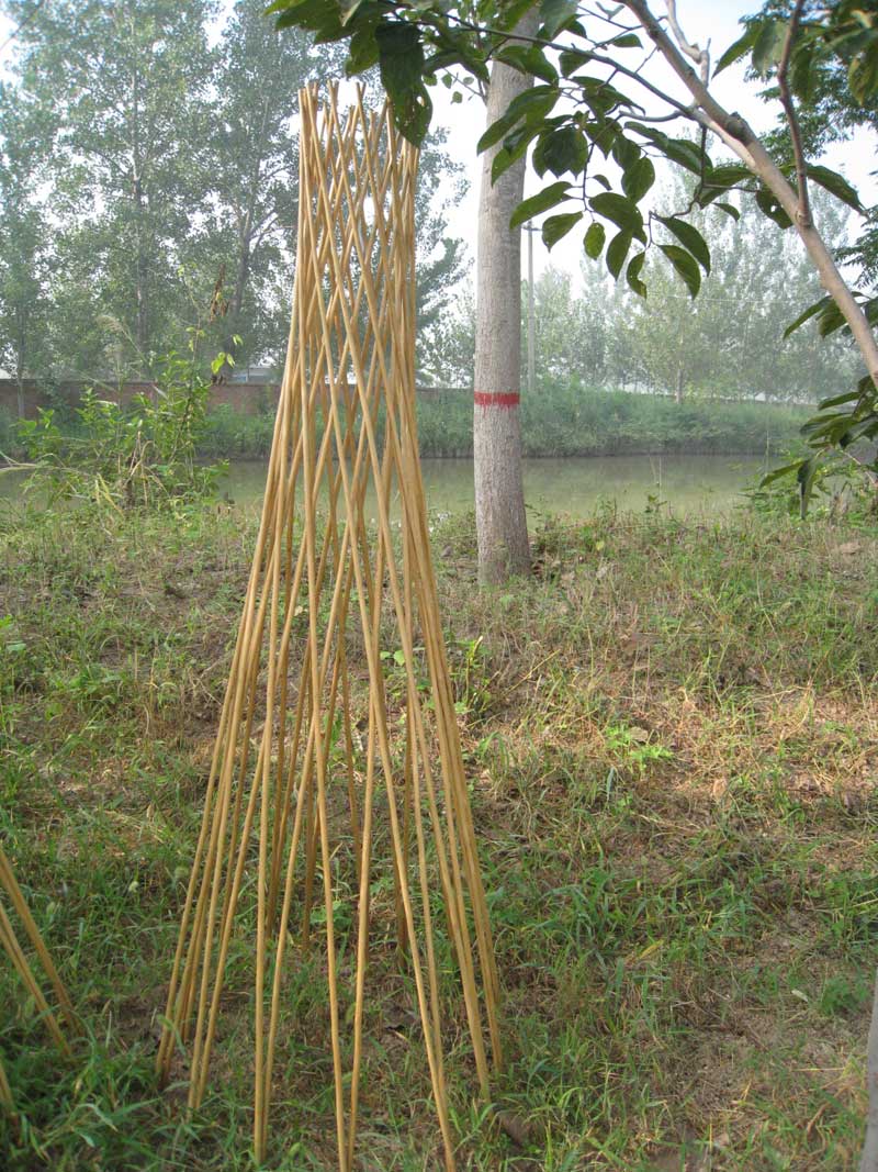 Peeled willow bracket